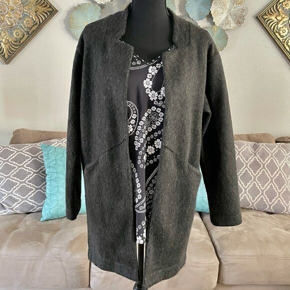 NWT EXPRESS Coat  - Picture 1 of 4